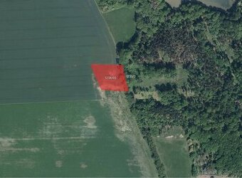 Zemědělská půda, prodej, Bohuslavice, Náchod