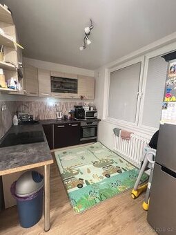 Prodej Bytu 3+1 Třebíč Borovina - 1