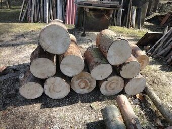 Prodám palivové dřevo.