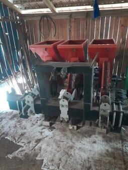 Prodam sazec cesneku