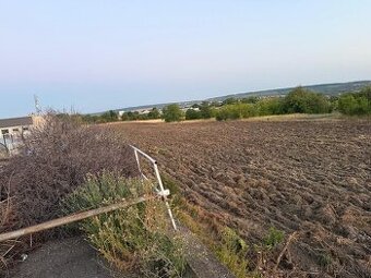 Pronájem zemědělské půdy Znojmo - Louka