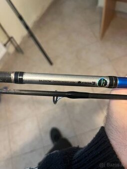 Shimano Alivio DX 2,7 m / 10–30 g – k dispozici 2 kusy