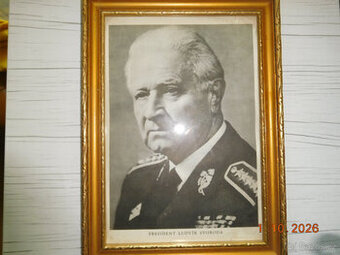 obraz prezidenta
