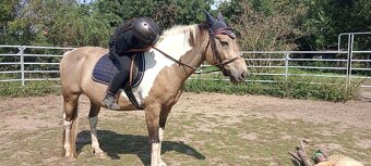 valach Čtxpony