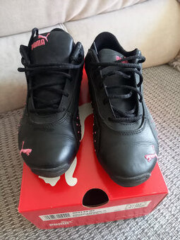 Botasky zn.Puma
