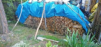 Prodám pilu a palivové dřevo /dub 3 roky suché/naštípané