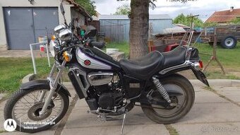 Aprilia red rose 50 - 1