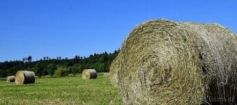 Kulaté balíky sena, dovoz možný