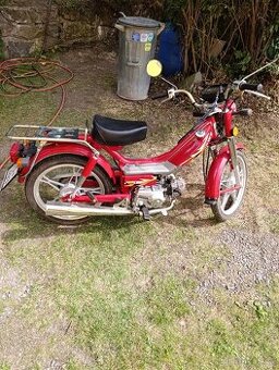 Jawa betka - 1