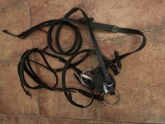 Dostihová uzdečka + martingal (Hauzr)