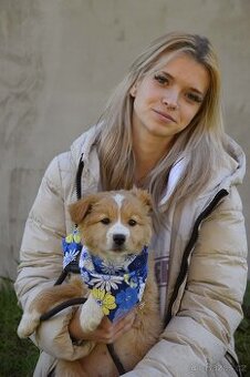 Balisha rezervace - 1