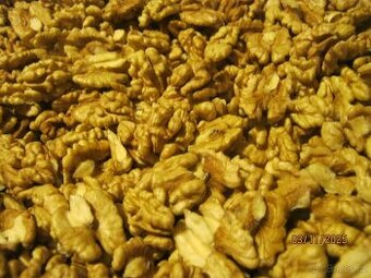 Vlašské ořechy, jádra