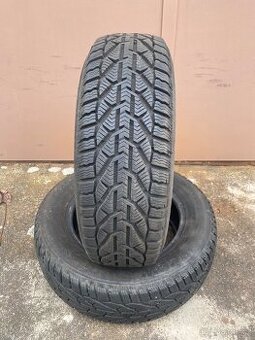 Zimní pneu 195/65/15
