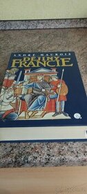 Dějiny Francie - 1