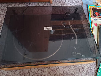 Gramofon Tesla - 1