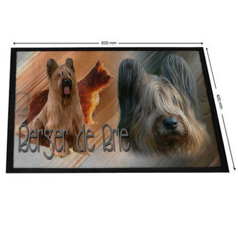 Kobereček - Briard