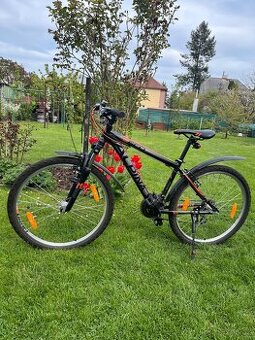Juniorské Horské kolo ALPINA ECO M20