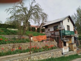 Pronájem zahrady s chatkou v Plzni - 1