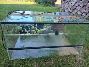 Terarium - 1