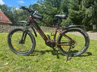 Crussis e-Guera 7.8 19"
