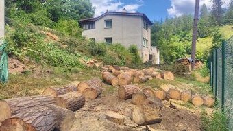 Kácím stromy a řežu dřevo. Jaroslav Anděl