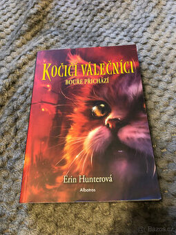 Kočičí válečníci - Bouře přichází