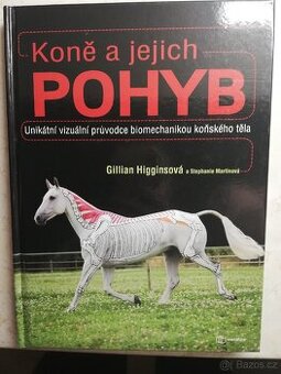 Koně a jejich pohyb