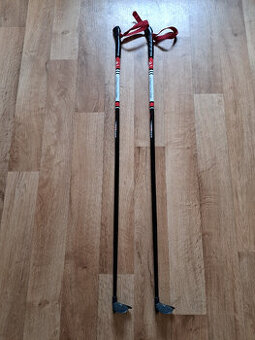 Hůlky na běžky Rex, 105 cm