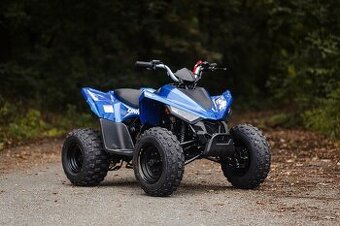 Linhai ATV 110