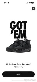 Jordan 4 Black Cat (45)