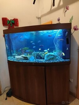 Prodám akvárium