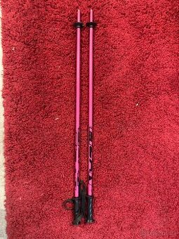 Lyžařské hůlky Fizan Action 90