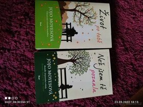 Než jsem tě poznala