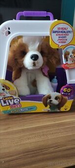 MALÝ LIVE PETS PEJSEK