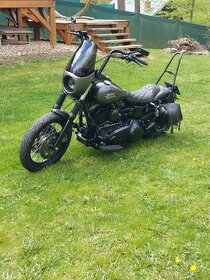 Harley Davidson Dyna - 1