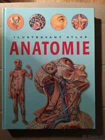 Anatomie - 1