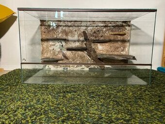 Terarium 80x40x45