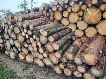 Palivové dřevo