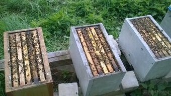 Vyzimované včelí oddělky