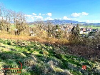 Prodej, pozemky/bydlení, 9446 m2, Janovice, Frýdek-Místek [I