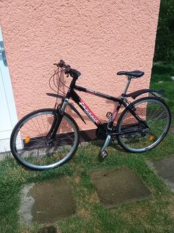 favorit dinamic sx - 1