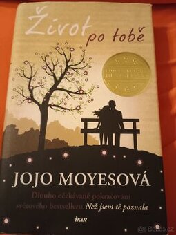 Život po tobě