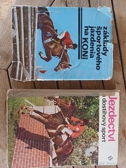 Jezdectvi a dostihový sport, základy ježdění na koni