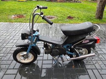 MOKIK Babetta - STELLA vzácná