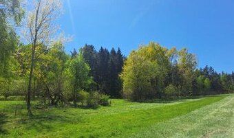 1/3 na pozemcích v k.ú. Janovice v Podještědí - 1