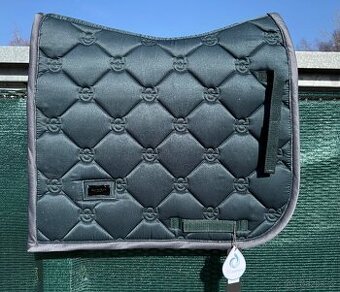 Equestrian Stockohlm - drezurní