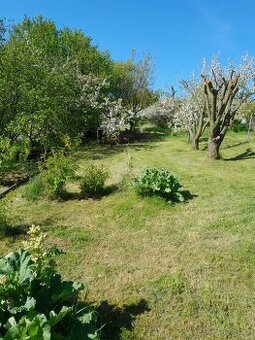 Pronájem zahrady, 376 m² - Běloky, ev.č. 00073