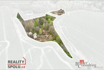 Prodej, pozemky/vinice/sady, 17330 m2, Hřebeny, Josefov, Sok