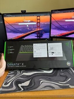 Razer Ornata V3 X
