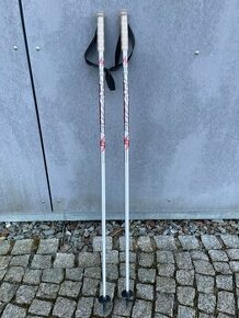 Sjezdové juniorské hůlky Blizzard dl. 110cm